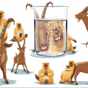 animierte Gifs und Erklärfilm