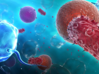 3D Animationen, Glow Studio, 3D Charakterdesign, Digital-Art,