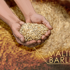 Storyboards, Animatics, Animatiosstudio