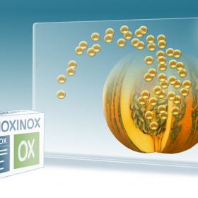 Storyboards/Animatics