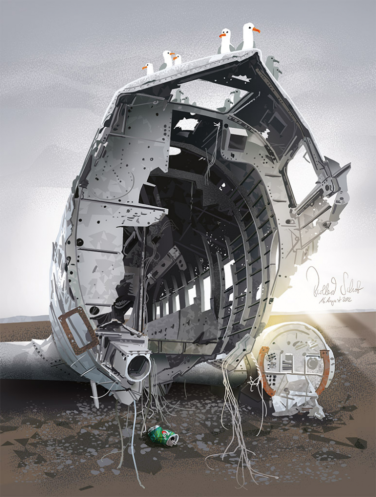 Island Flugzeug-Wrack