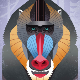 Vektor Illustrationen