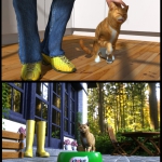 3D Storyboards, Illustrationen für Messe, Retail,TV und Filmdreh