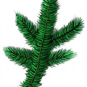 SpecialBranch-agent--pine