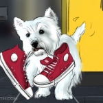 C Shoes Active Frame03