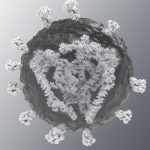 Medizinische 3D Animationen Immunsytem für Pfizer