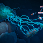 Medizinische 3D Visualisierungen