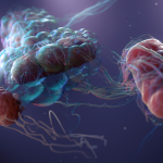 Medizinische 3D Visualisierungen