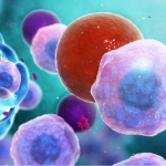 Pfizer Reuma 3D Visialisierung