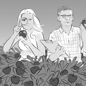 Storyboards, Animatics, Visuals für die MaFo, Moodfilme, Food, P