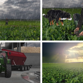 Storyboards, Animatics, Visuals für die MaFo, Moodfilme, Food, P