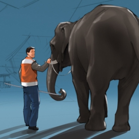 Storyboards, Animatics, Visuals für die MaFo, Moodfilme, Food, P