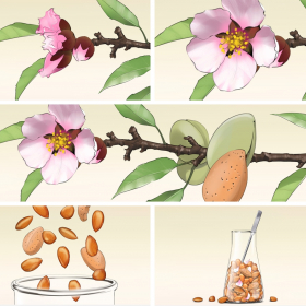 Storyboards, Animatics, Visuals für die MaFo, Moodfilme, Food, P